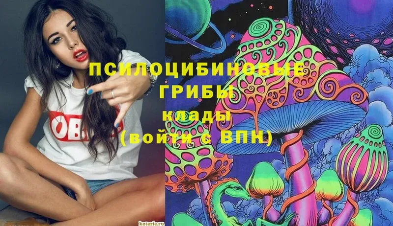 darknet клад  где можно купить   Владикавказ  Псилоцибиновые грибы Psilocybe 